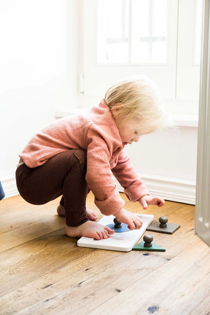 Montessori Shape-Sorting Puzzle