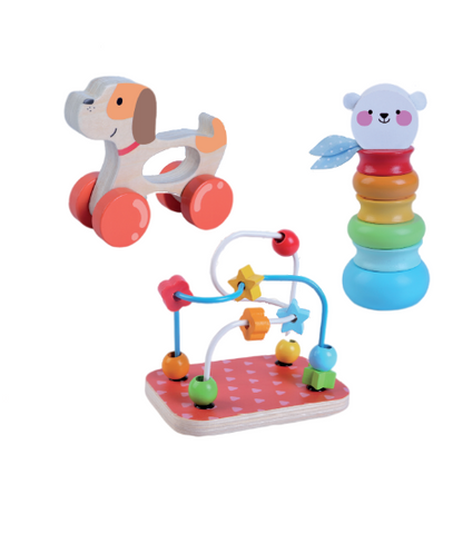 Educative Wooden Playset